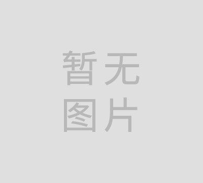 广州市自动变速箱协会监事单位